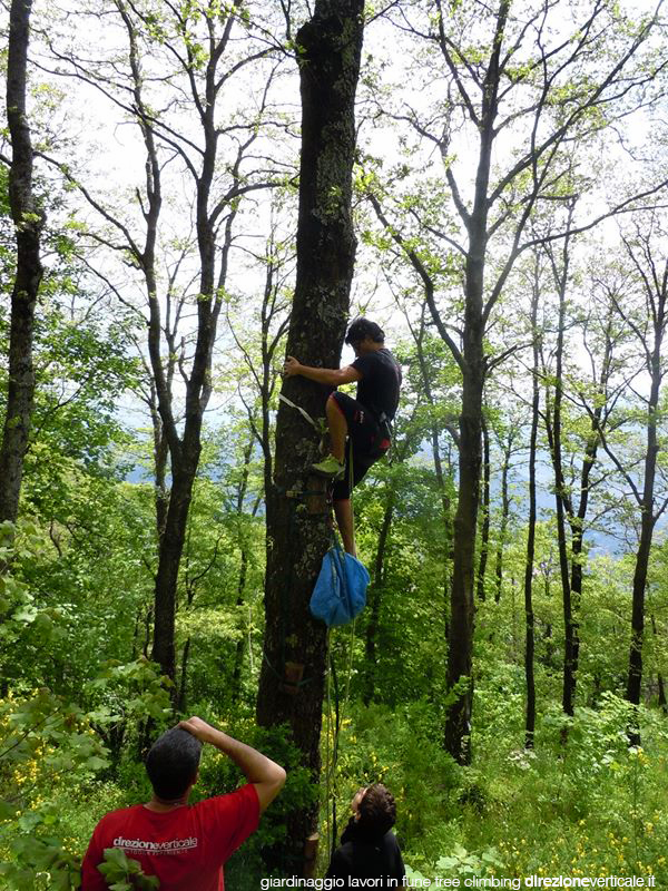 giardinaggio tree climbing campania